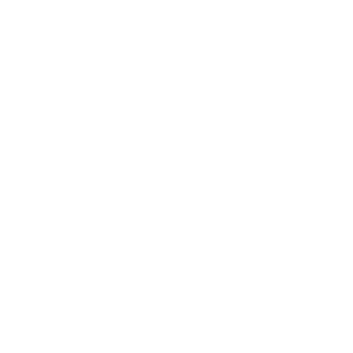  Alzo International